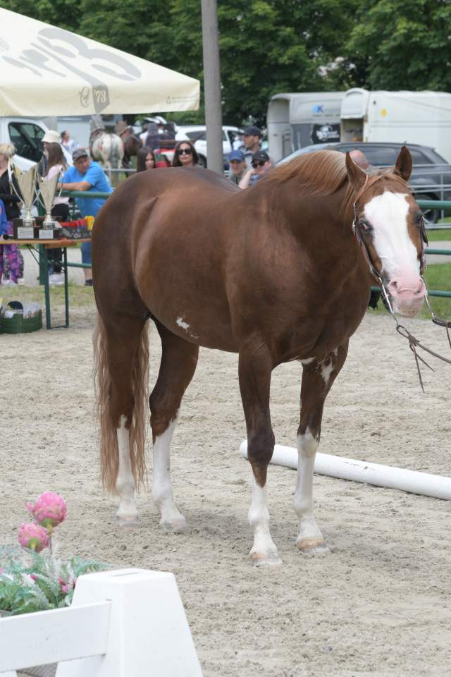 DSC_6495